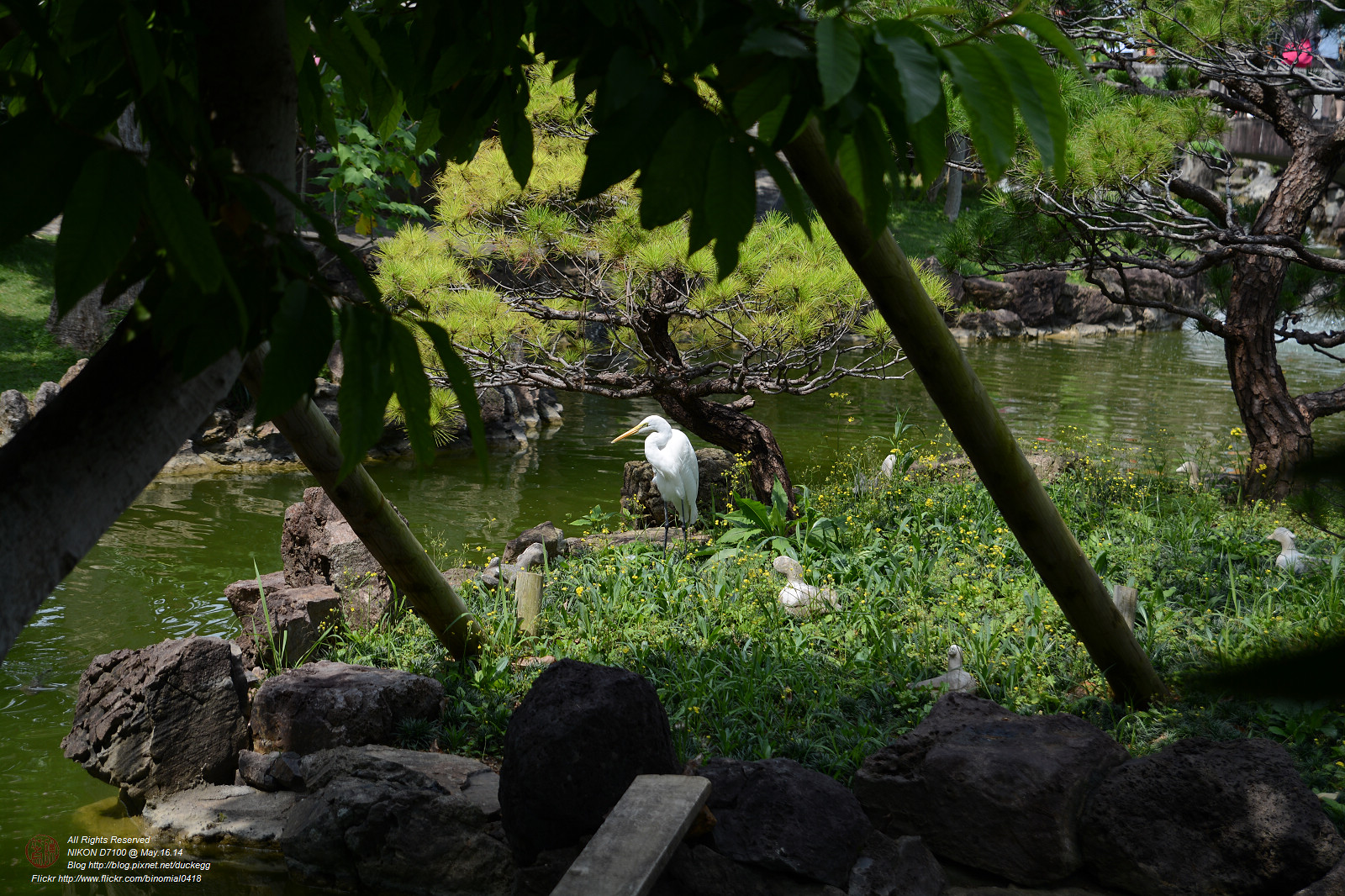 DSC_3417.jpg